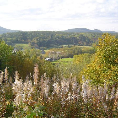 Les Appartements De La Bergeronnette Grandes-Bergeronnes Eksteriør billede